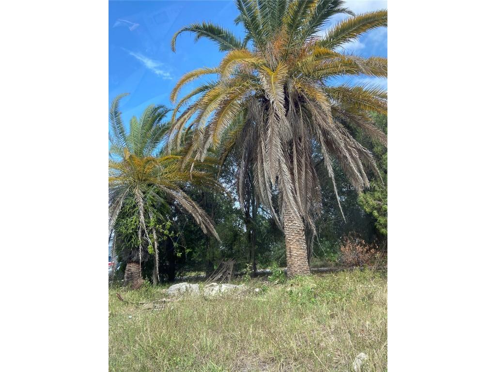 12709 Capitol Drive Hudson FL 34667 T3453506 image1