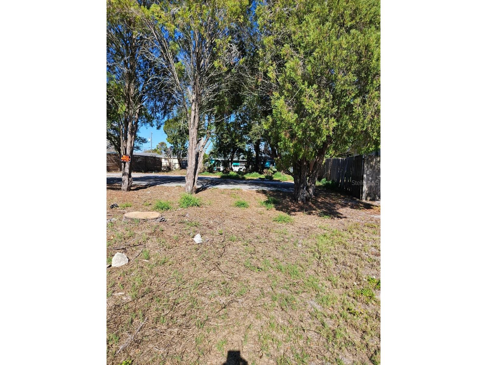 12709 Capitol Drive Hudson FL 34667 TB8473068 image3