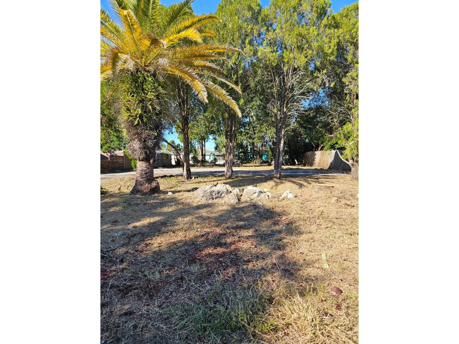 12709 Capitol Drive Hudson FL 34667 TB8473068 image4