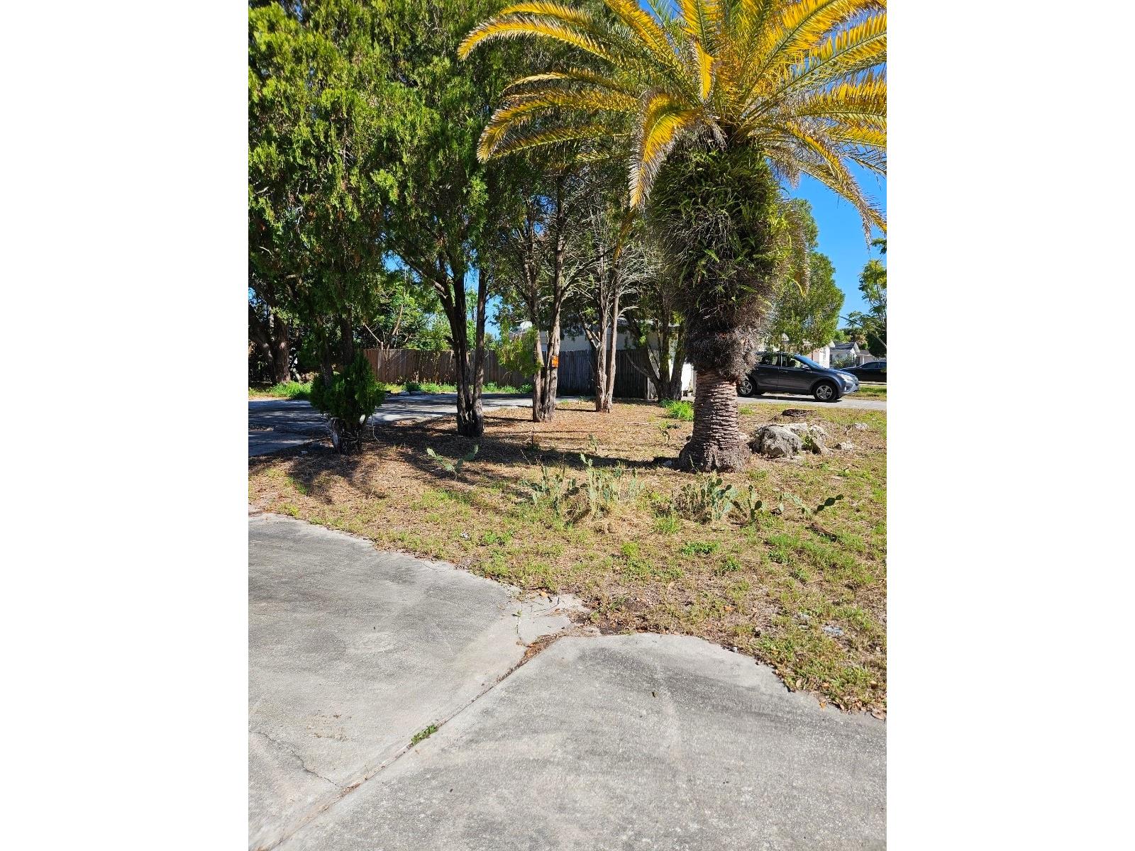 12709 Capitol Drive Hudson FL 34667 TB8473068 image8