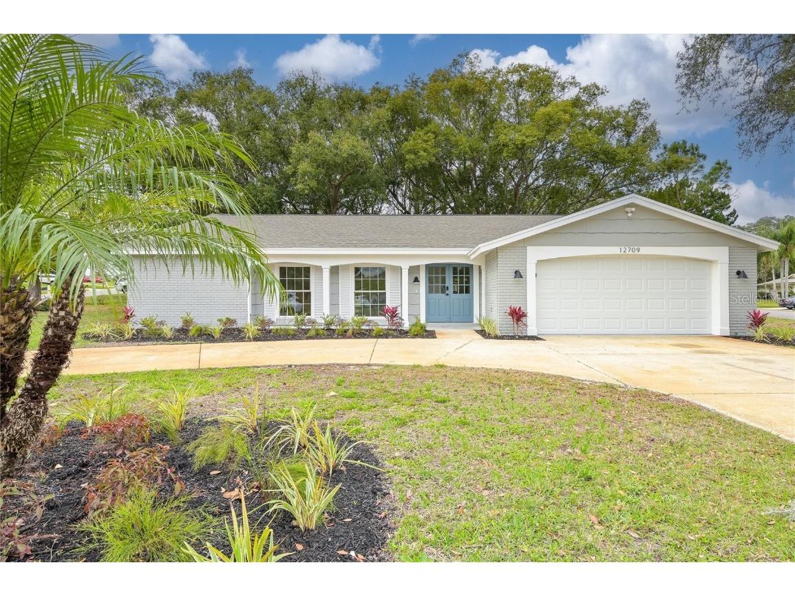12709 Castleberry Court Hudson FL 34667 T3428576 image1