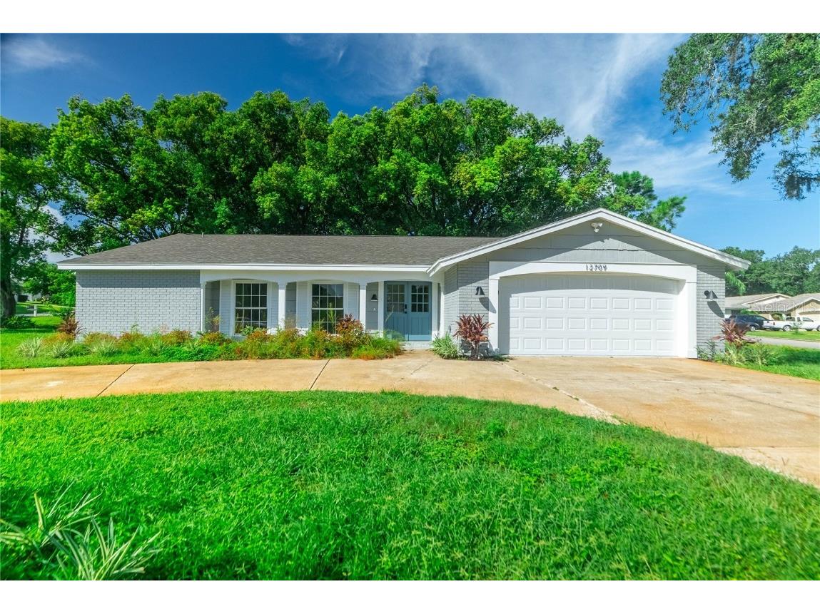 12709 Castleberry Court Hudson FL 34667 W7857743 image1