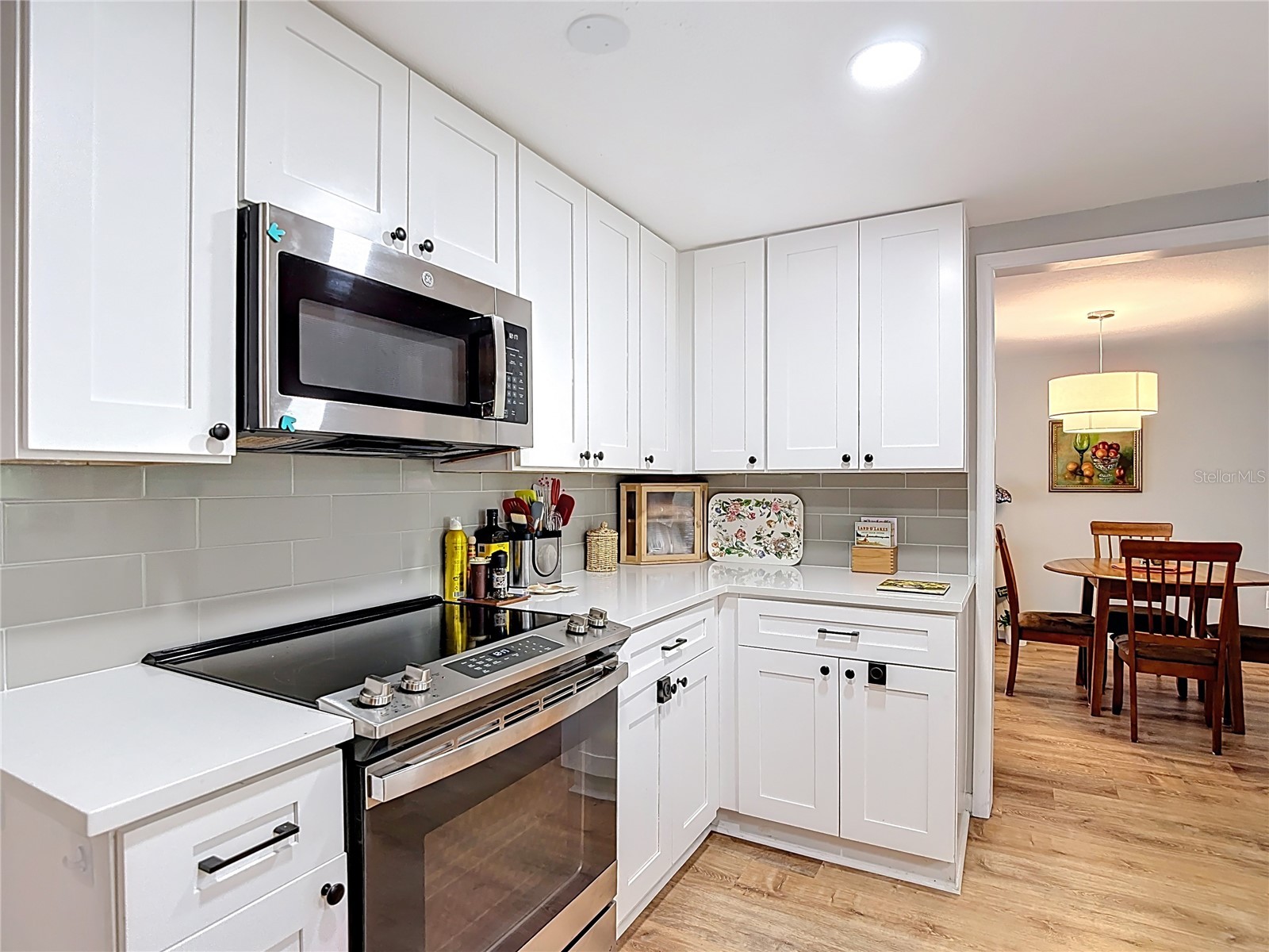 12709 Castleberry Court Hudson FL 34667 W7884700 image17