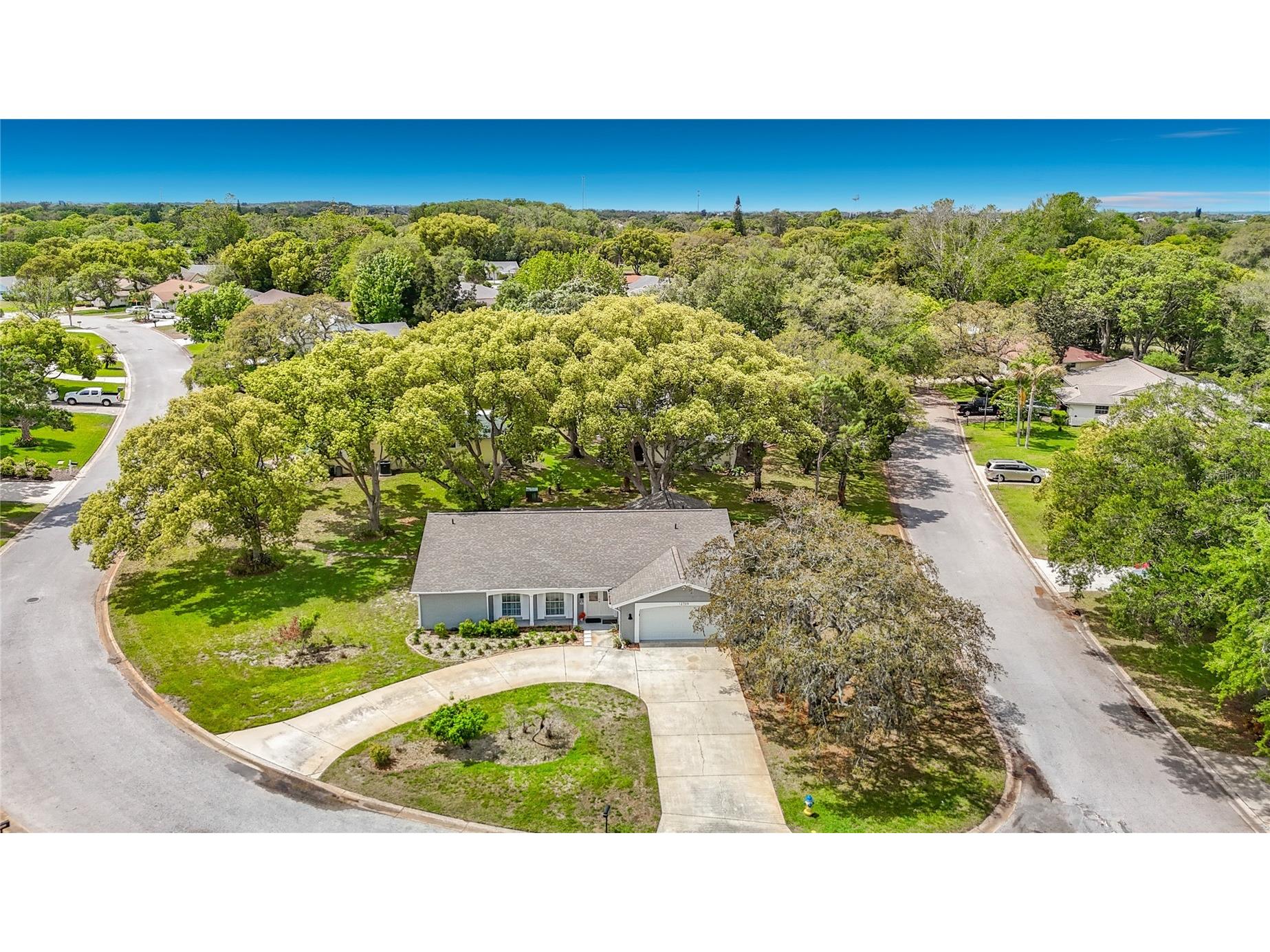 12709 Castleberry Court Hudson FL 34667 W7884700 image4