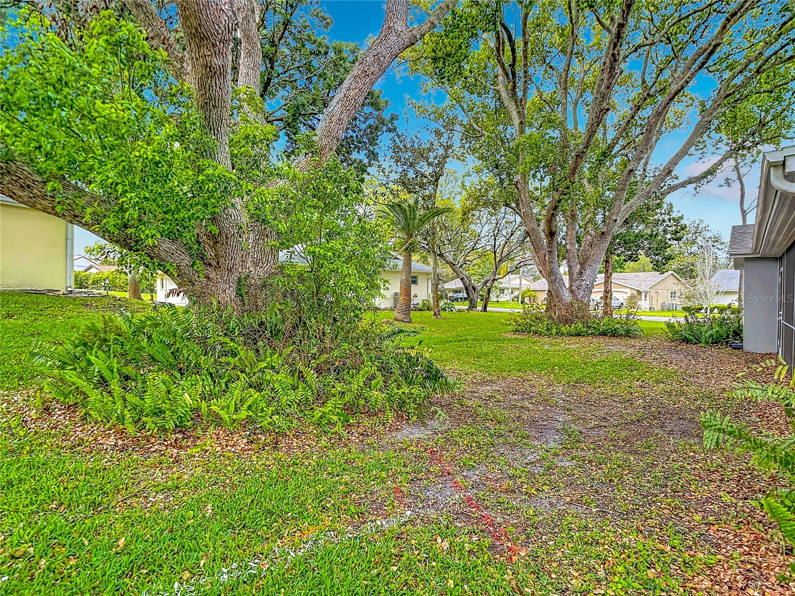 12709 Castleberry Court Hudson FL 34667 W7884700 image47