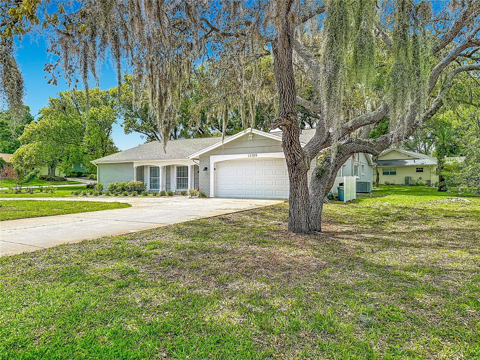12709 Castleberry Court Hudson FL 34667 W7884700 image5
