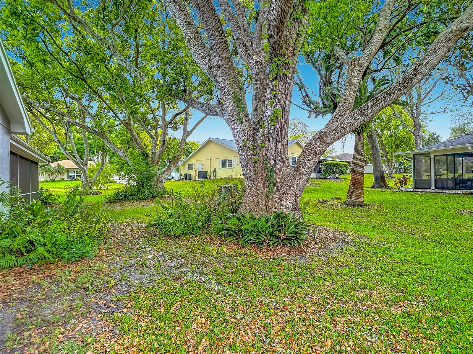 12709 Castleberry Court Hudson FL 34667 W7884700 image50