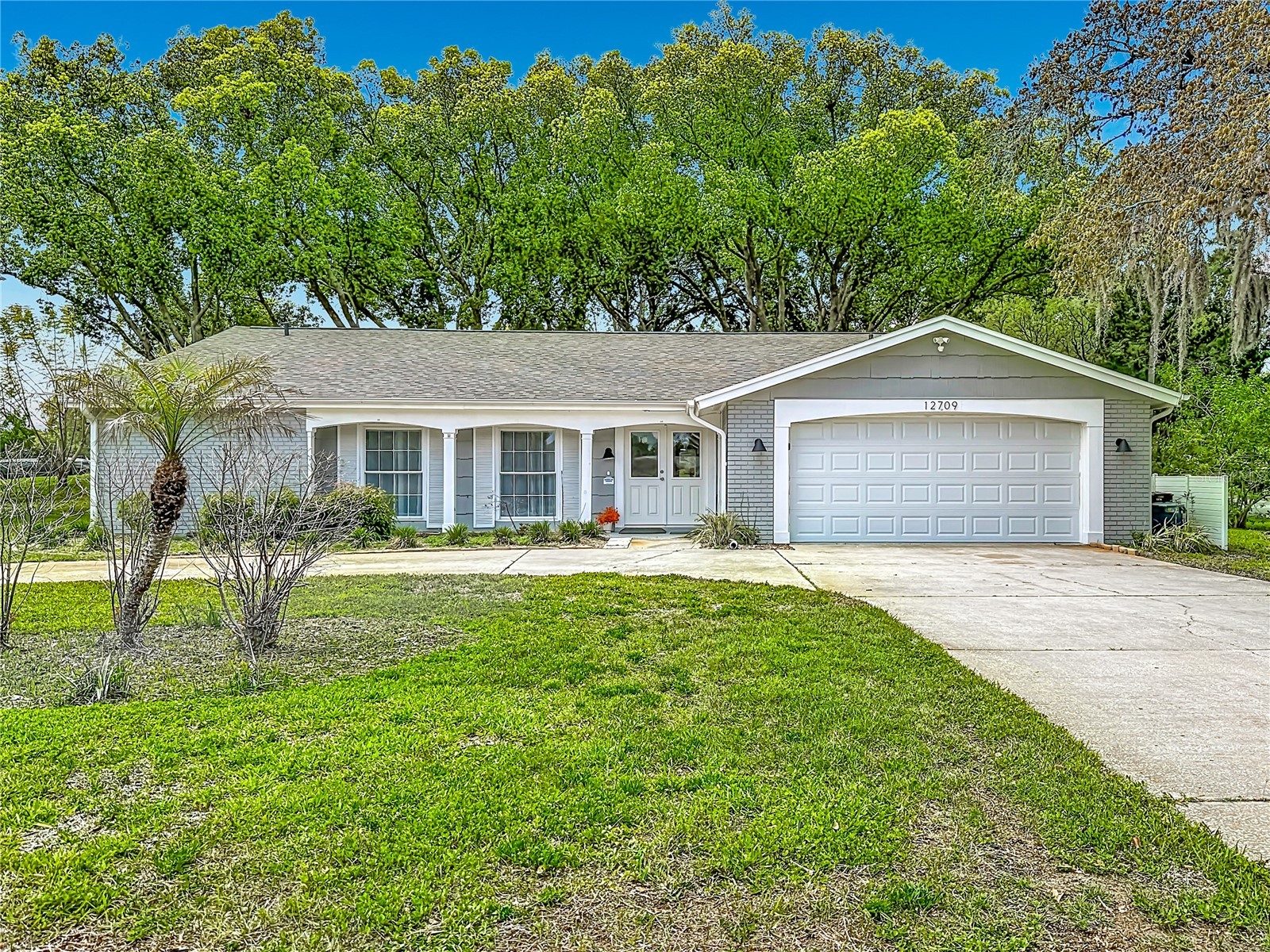 12709 Castleberry Court Hudson FL 34667 W7884700 image6