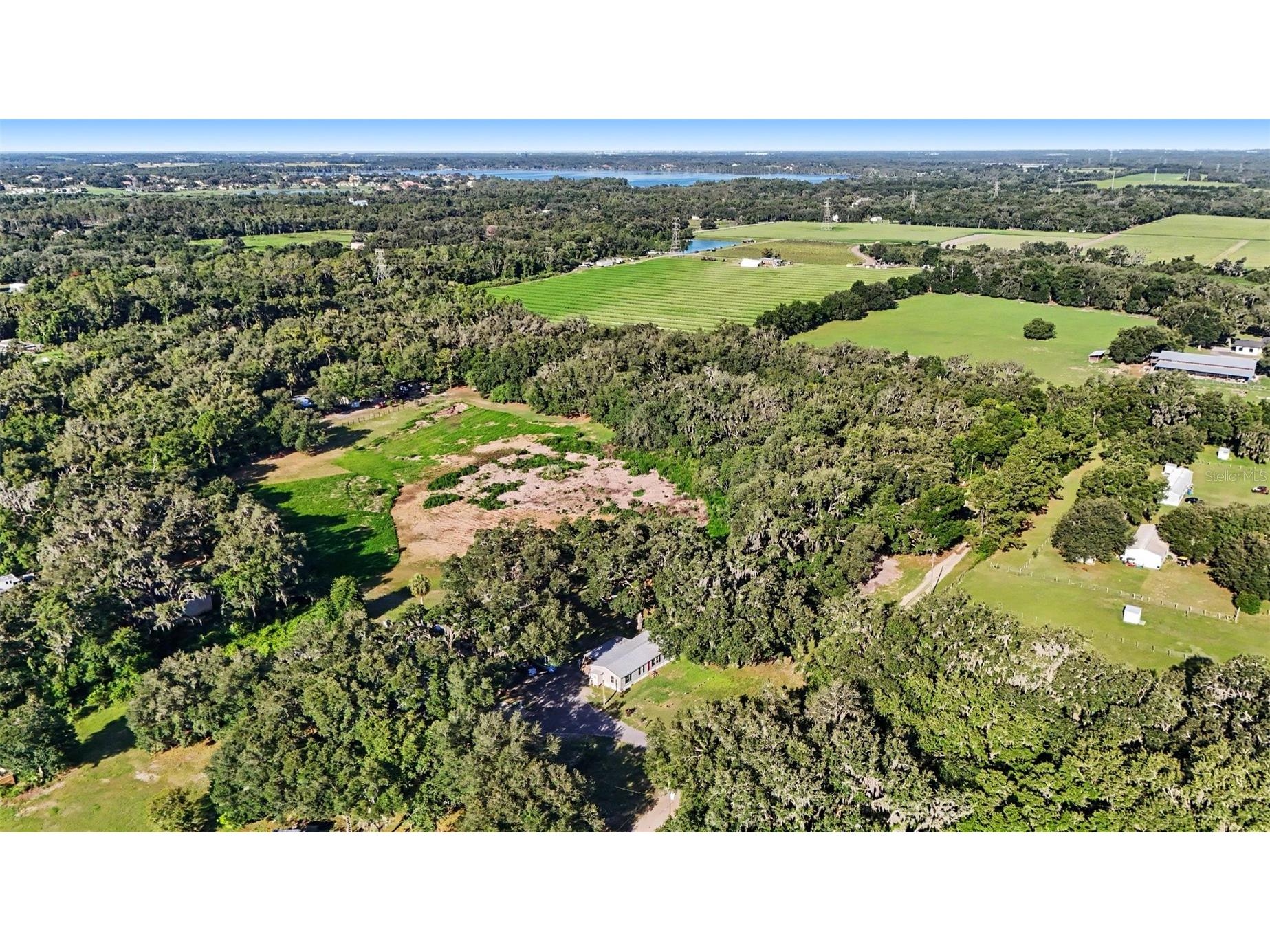 12709 Chihuahua Court Thonotosassa FL 33592 TB8516620 image1