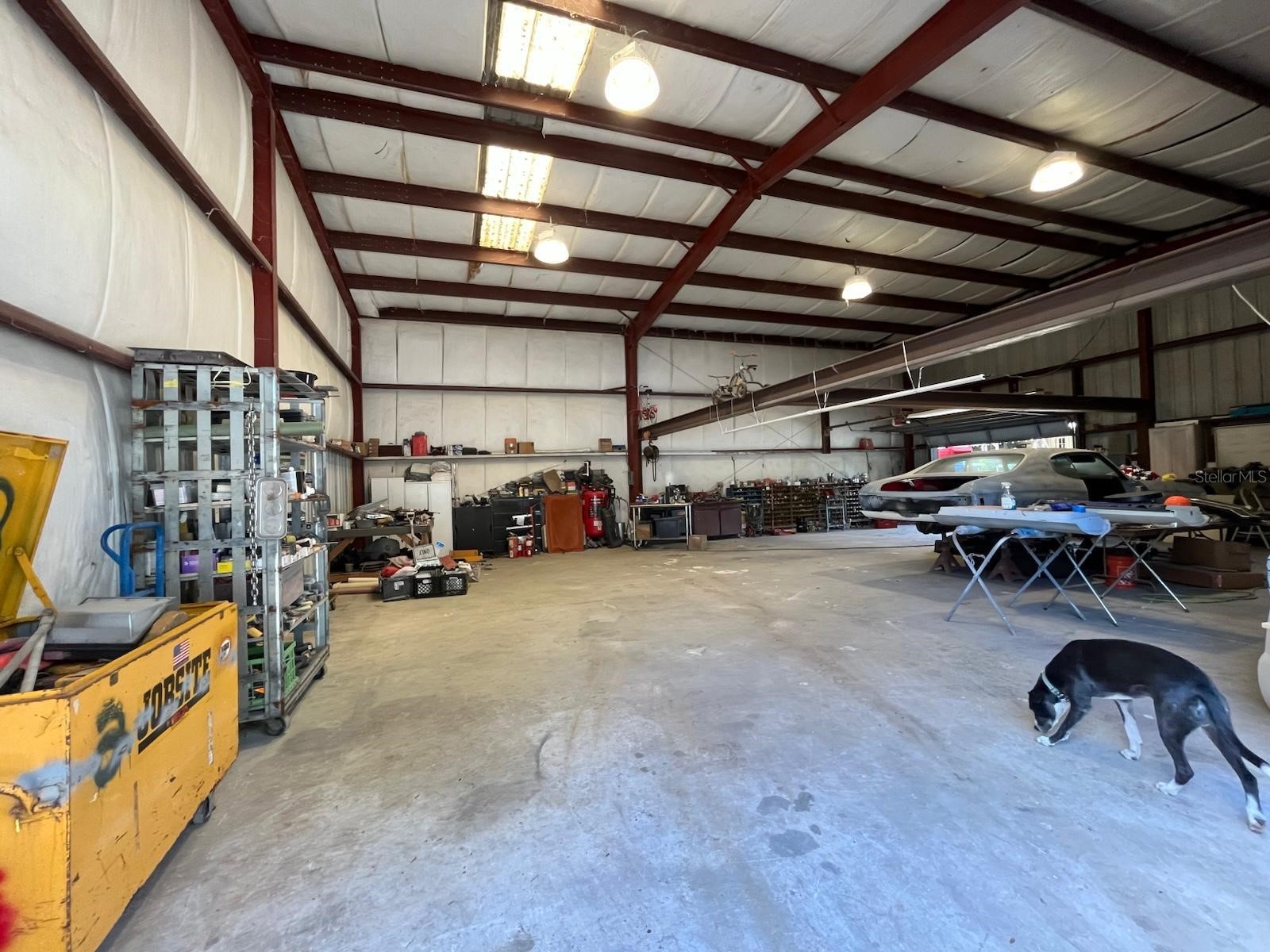 12709 Chihuahua Court Thonotosassa FL 33592 TB8516620 image23