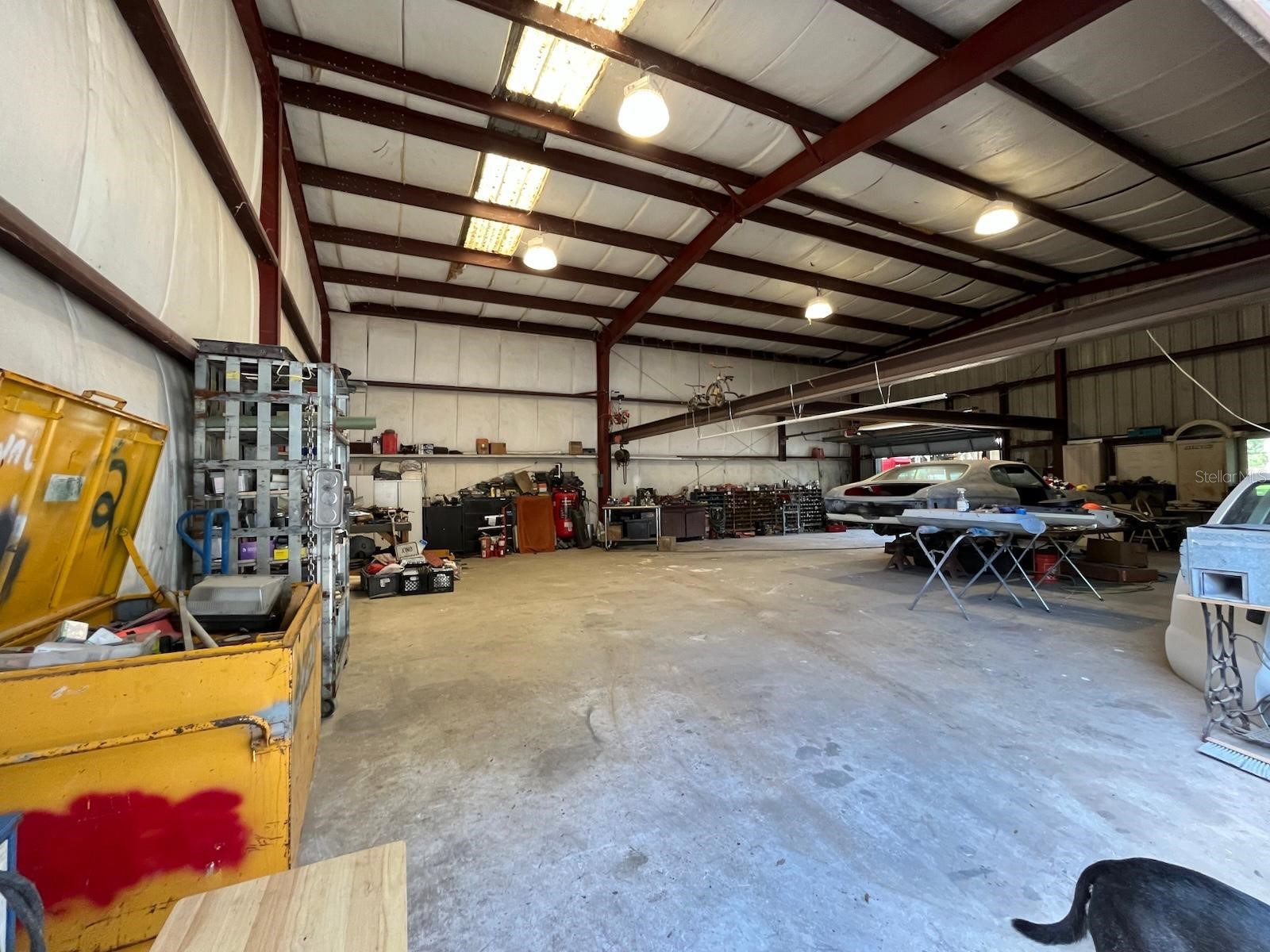 12709 Chihuahua Court Thonotosassa FL 33592 TB8516620 image26