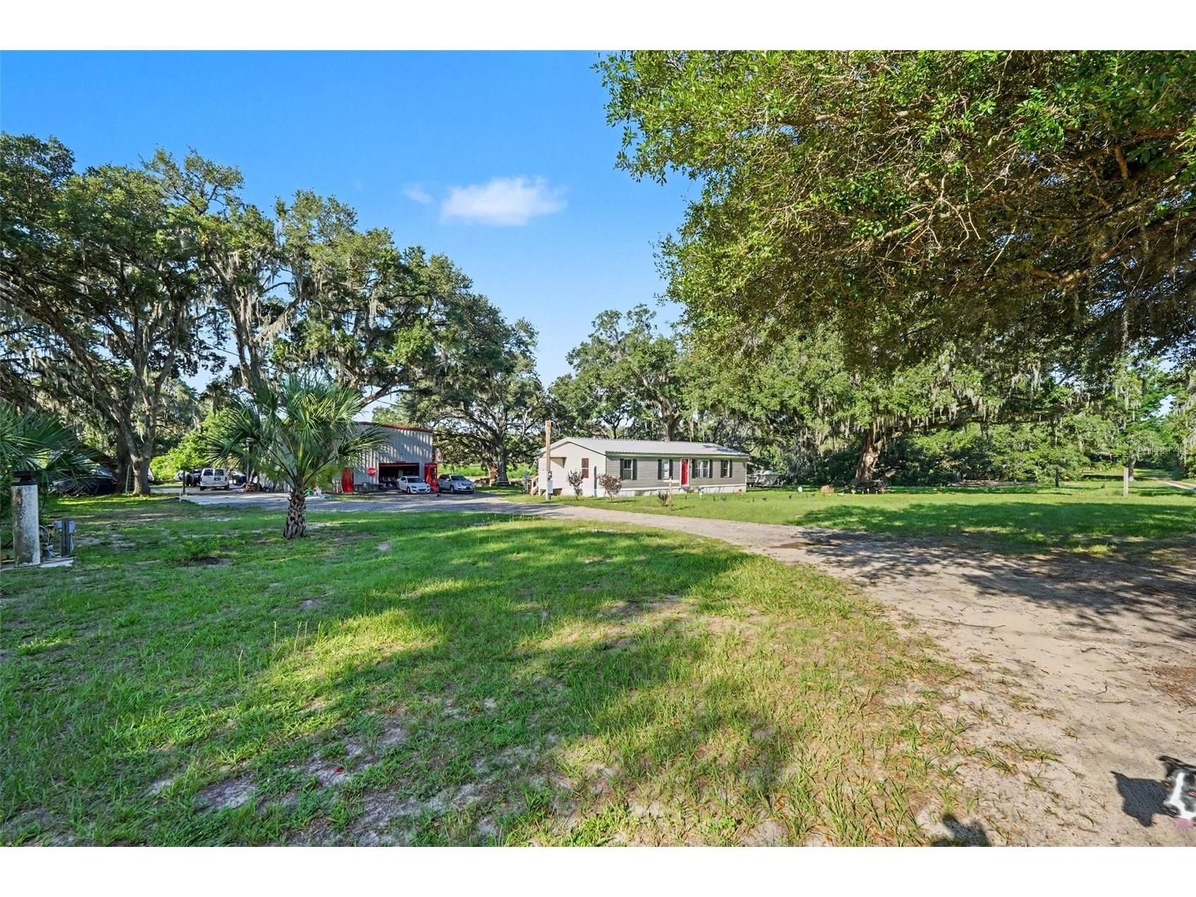 12709 Chihuahua Court Thonotosassa FL 33592 TB8516620 image4