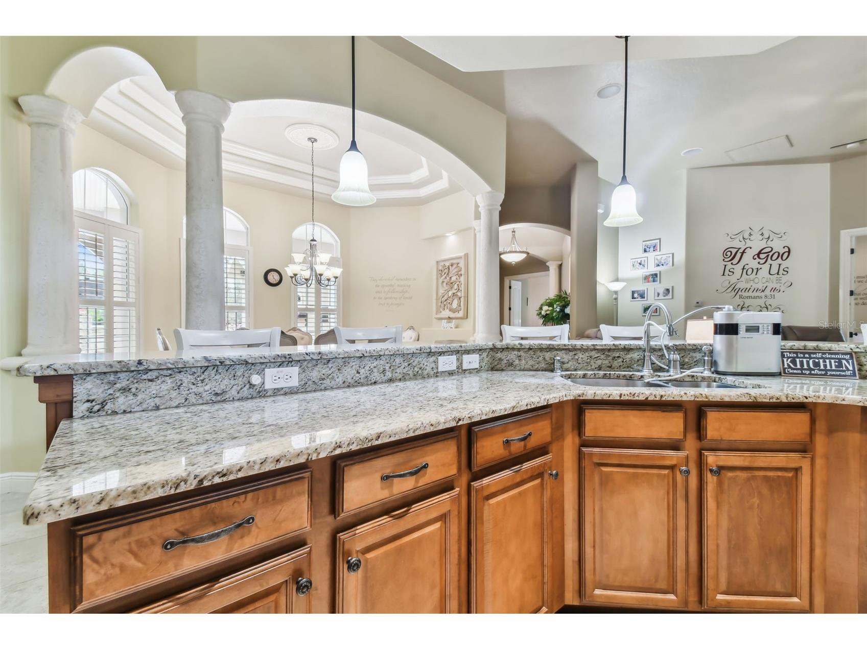 12709 Mannhurst Oak Lane Lithia FL 33547 TB8502651 image24