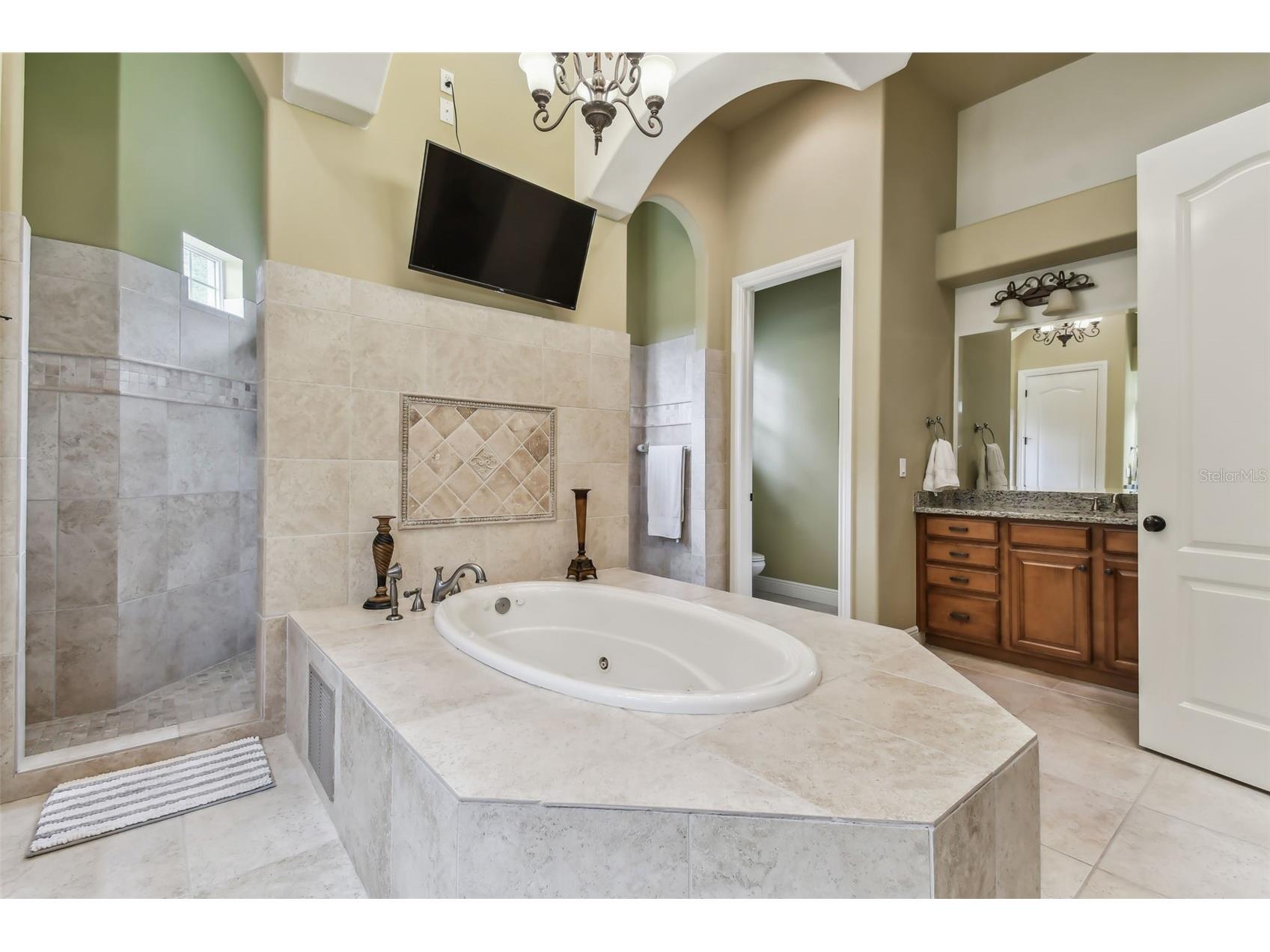 12709 Mannhurst Oak Lane Lithia FL 33547 TB8502651 image36