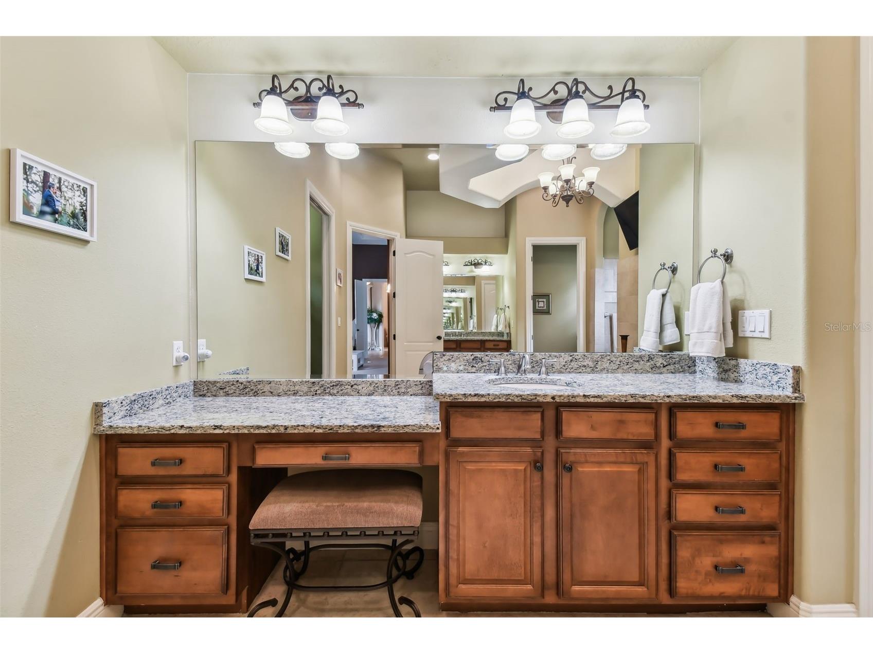 12709 Mannhurst Oak Lane Lithia FL 33547 TB8502651 image37