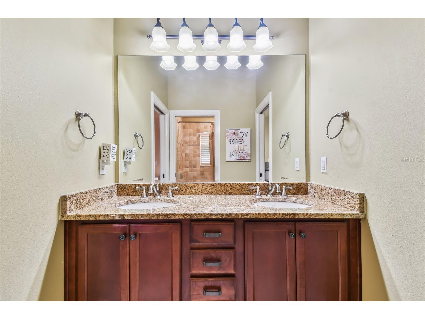 12709 Mannhurst Oak Lane Lithia FL 33547 TB8502651 image50