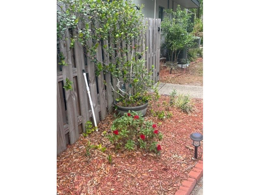 12709 Tall Pine Drive Tampa FL 33625 TB8452541 image10
