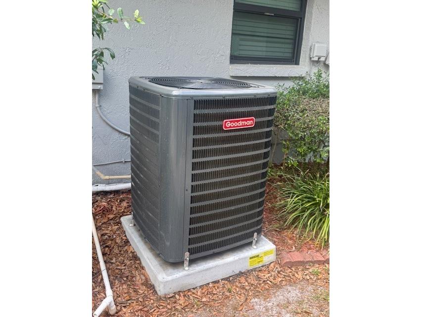 12709 Tall Pine Drive Tampa FL 33625 TB8452541 image11
