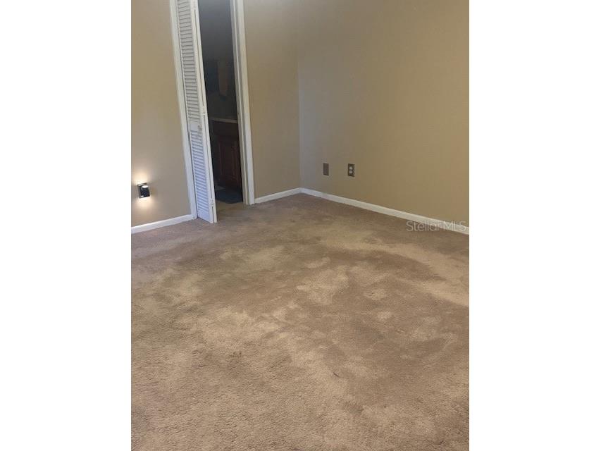 12709 Tall Pine Drive Tampa FL 33625 TB8452541 image27