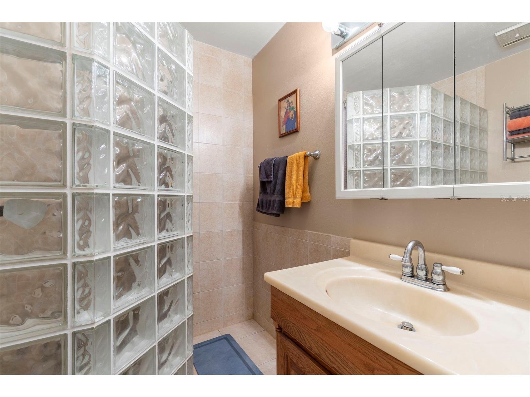12709 Tall Pine Drive Tampa FL 33625 TB8452541 image29