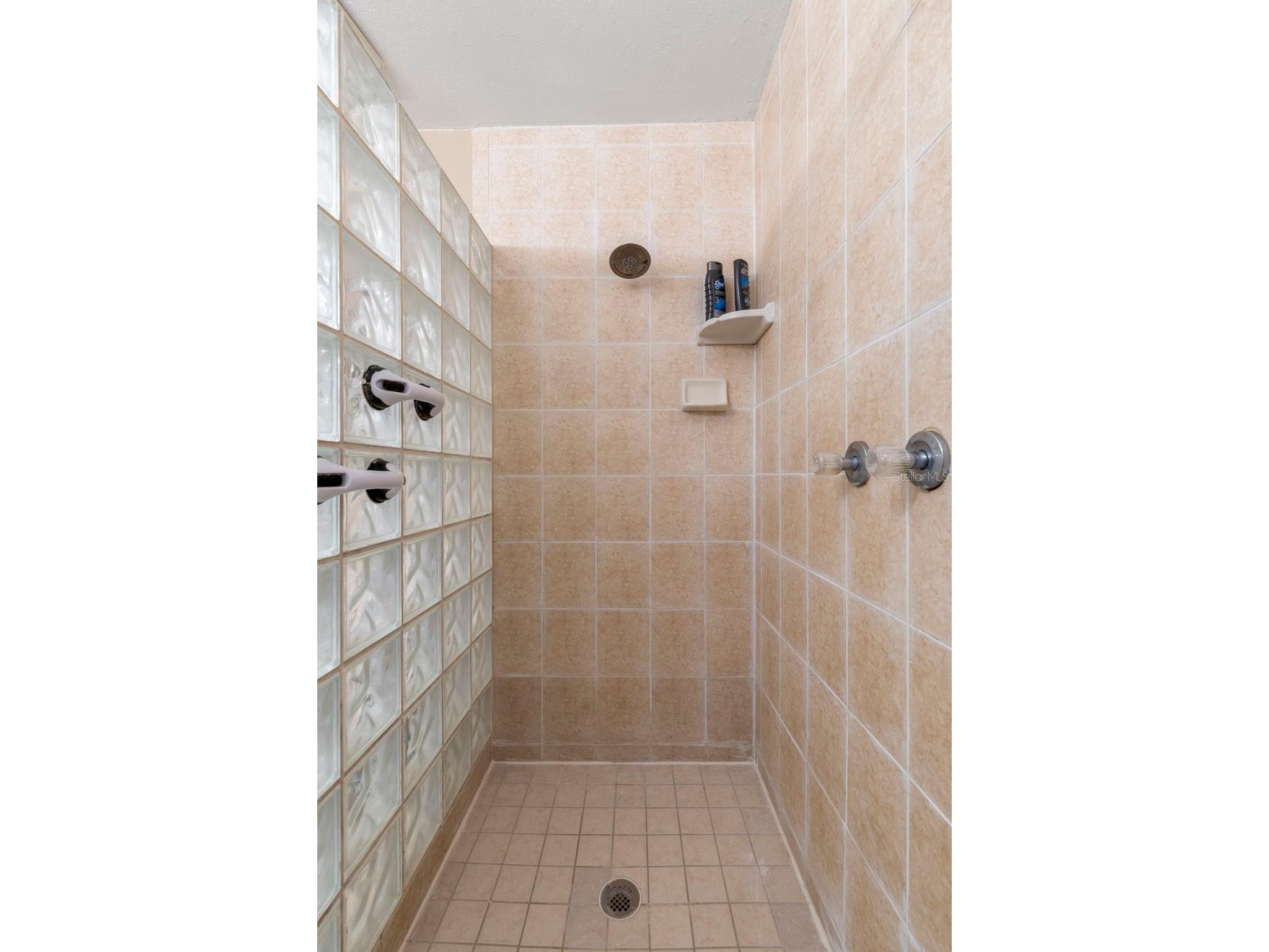 12709 Tall Pine Drive Tampa FL 33625 TB8452541 image30