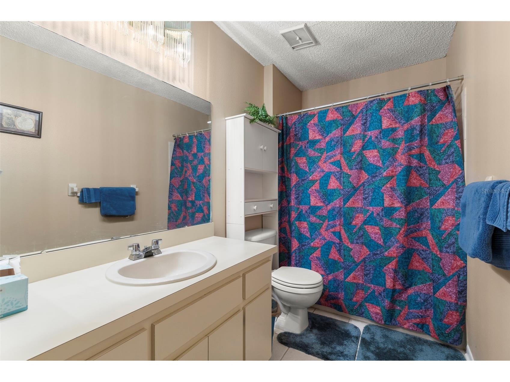 12709 Tall Pine Drive Tampa FL 33625 TB8452541 image34