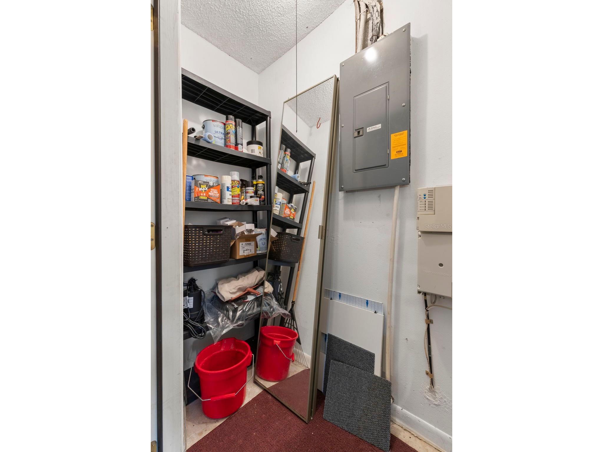 12709 Tall Pine Drive Tampa FL 33625 TB8452541 image35
