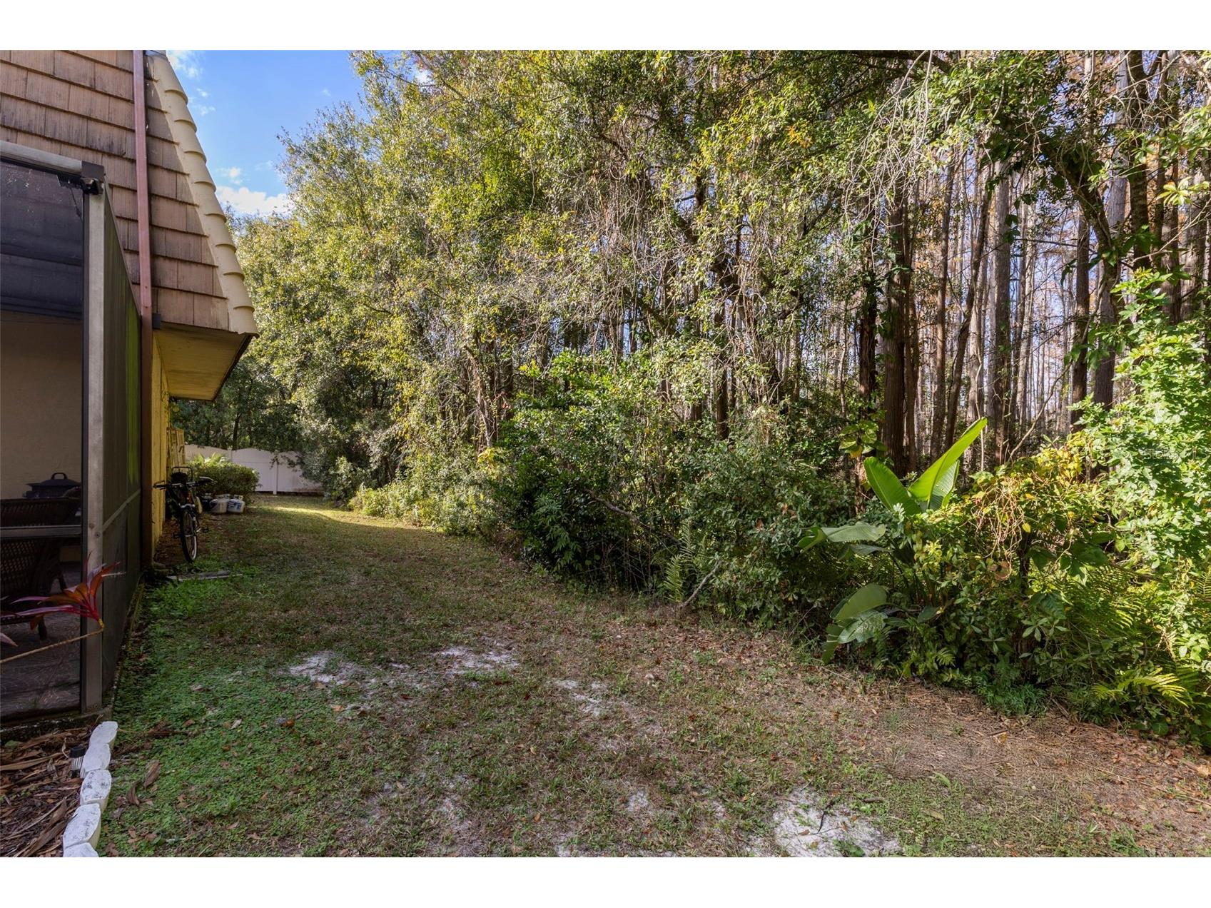 12709 Tall Pine Drive Tampa FL 33625 TB8452541 image36