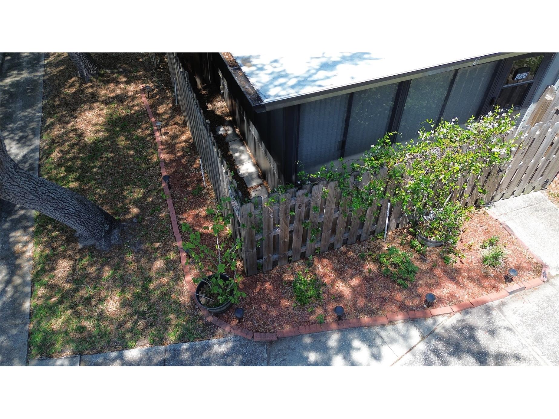 12709 Tall Pine Drive Tampa FL 33625 TB8452541 image41