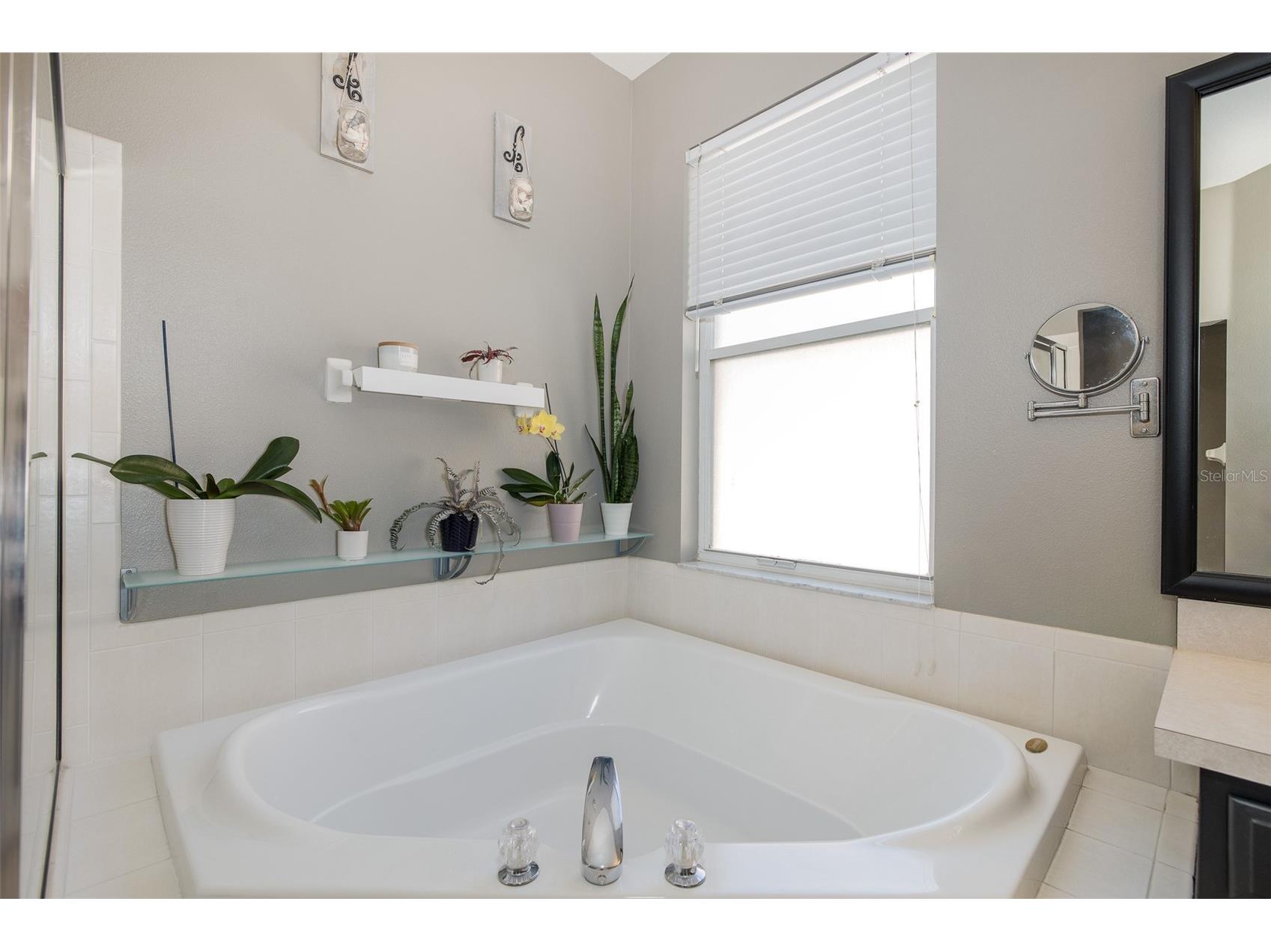 12709 Westwood Lakes Boulevard Tampa FL 33626 TB8525286 image19