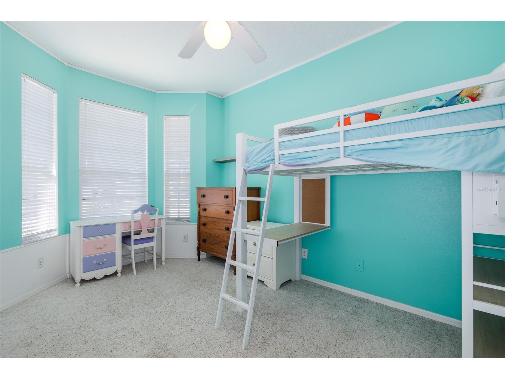 12709 Westwood Lakes Boulevard Tampa FL 33626 TB8525286 image21