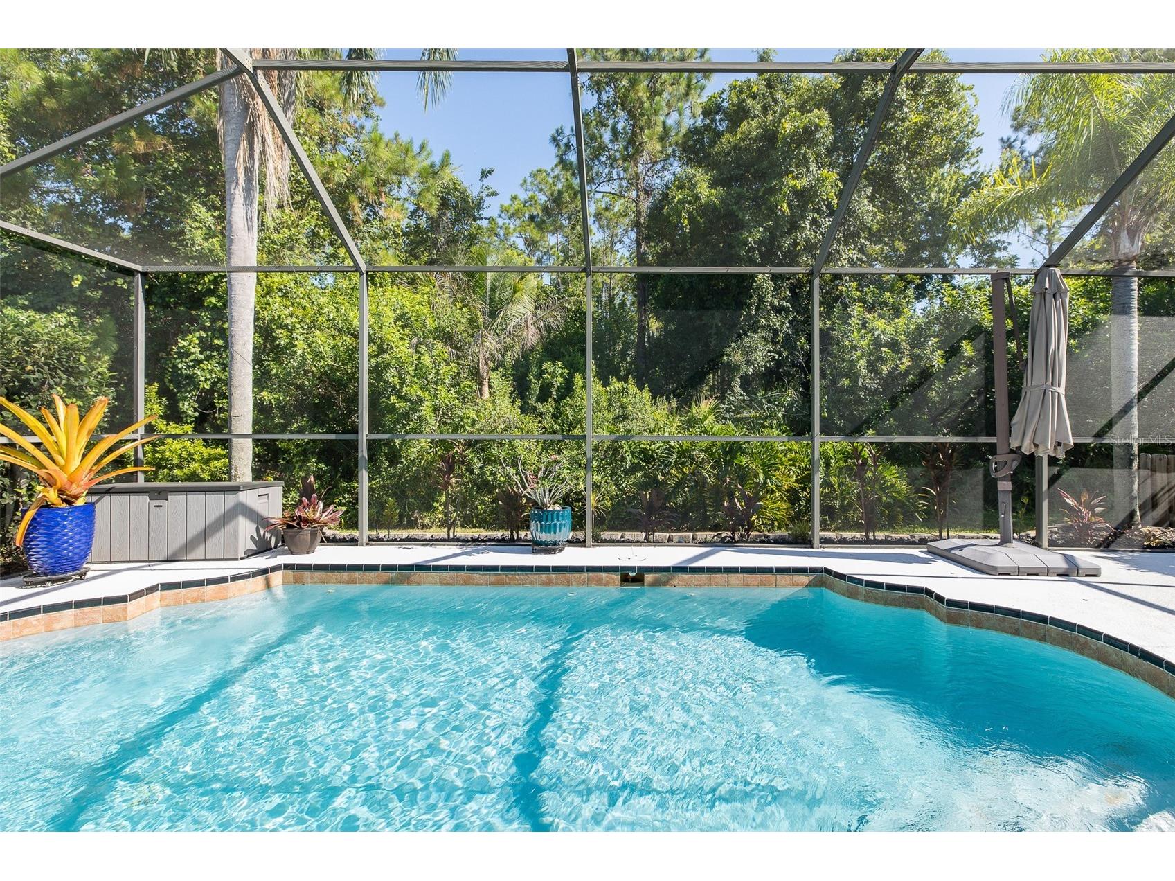 12709 Westwood Lakes Boulevard Tampa FL 33626 TB8525286 image40