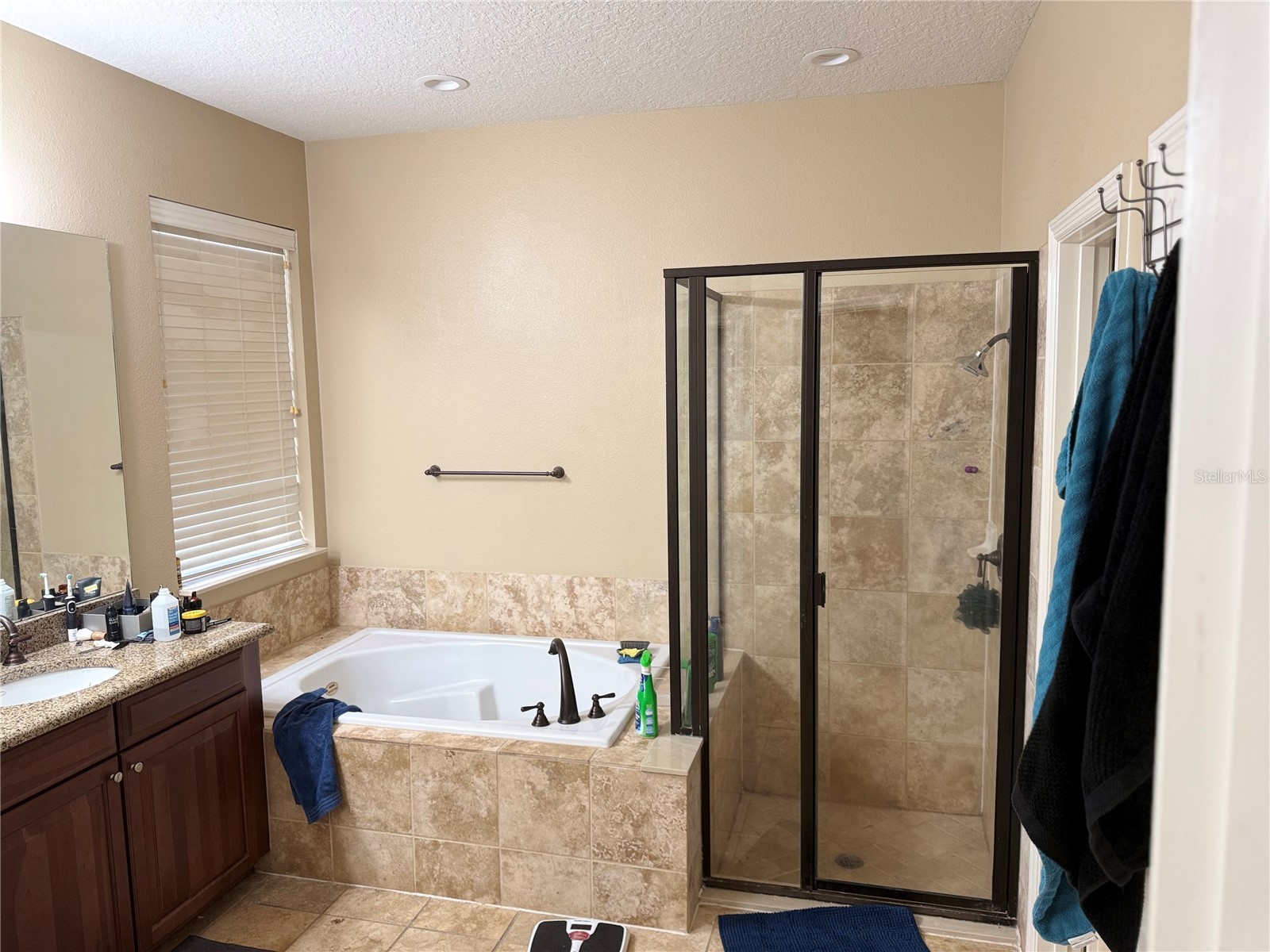 1271 Lattimore Drive Clermont FL 34711 R4910710 image28