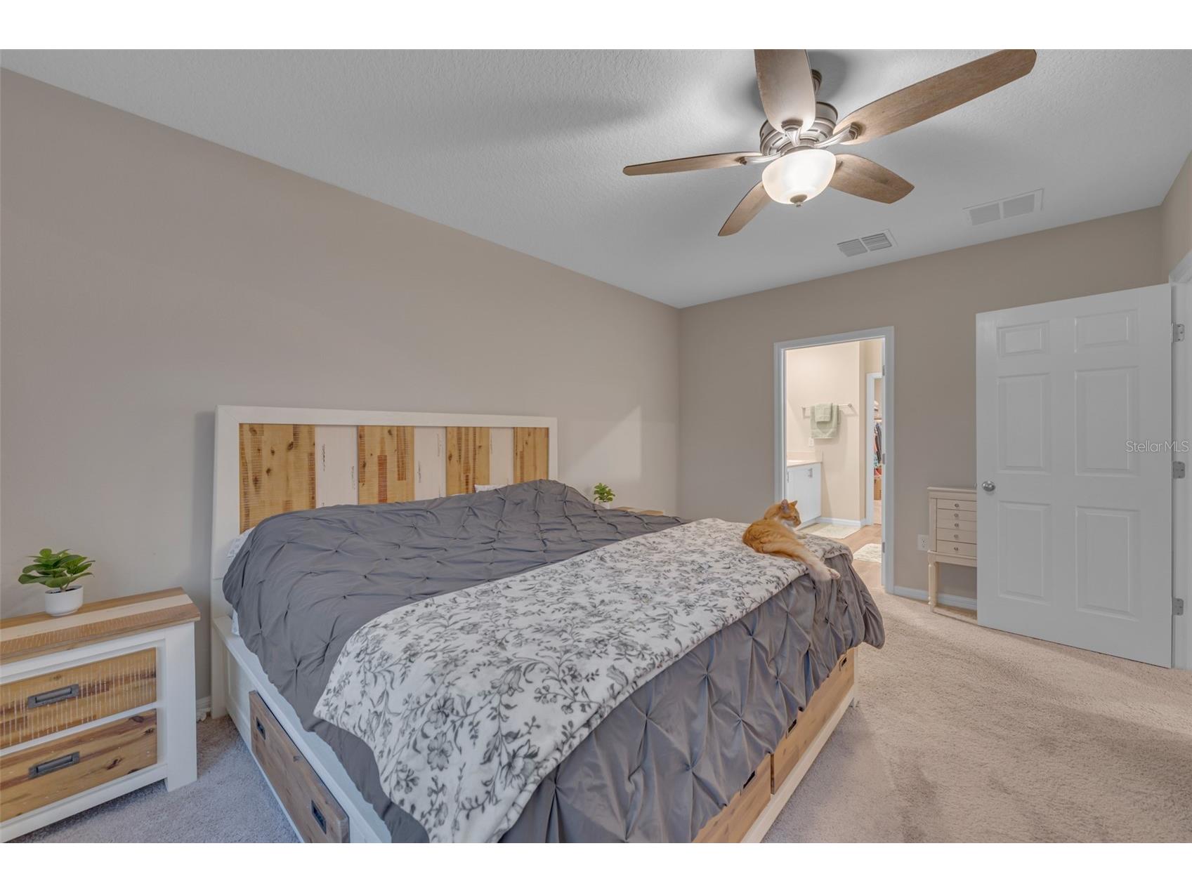 12710 Hysmith Loop Parrish FL 34219 N6144266 image52