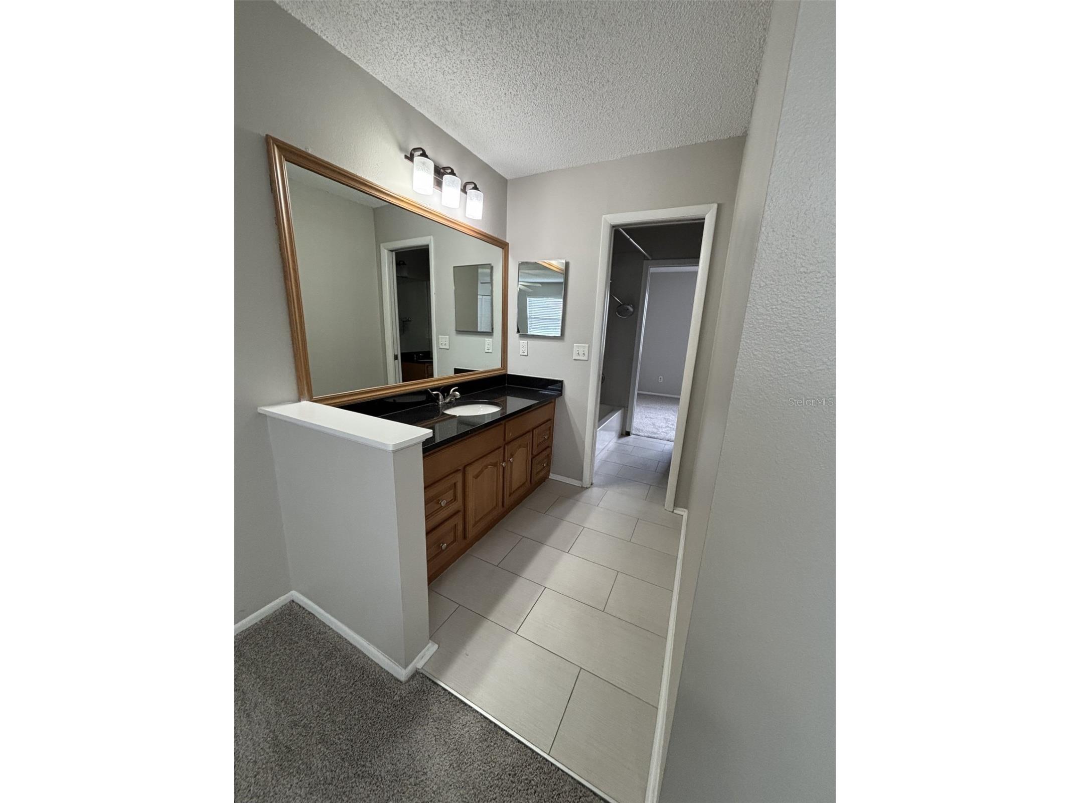 12710 Raeburn Way Tampa FL 33624 TB8512153 image12