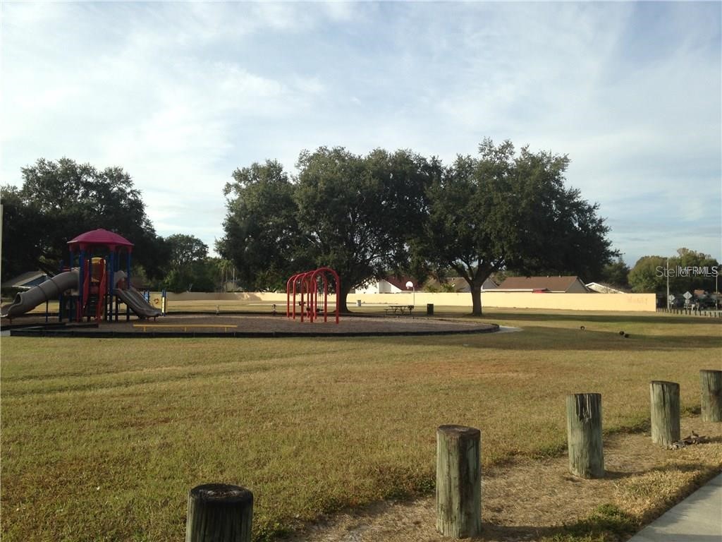 12710 Raeburn Way Tampa FL 33624 TB8512153 image21