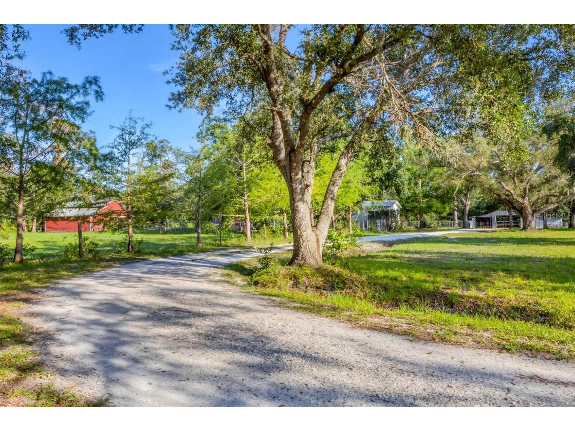 12711 River Road Myakka City FL 34251 A4655374 image13