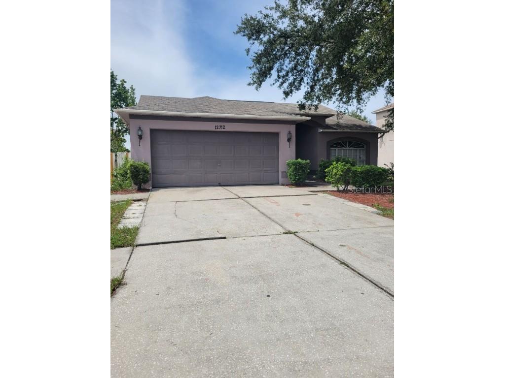 12712 Longcrest Drive Riverview FL 33579 T3458499 image1