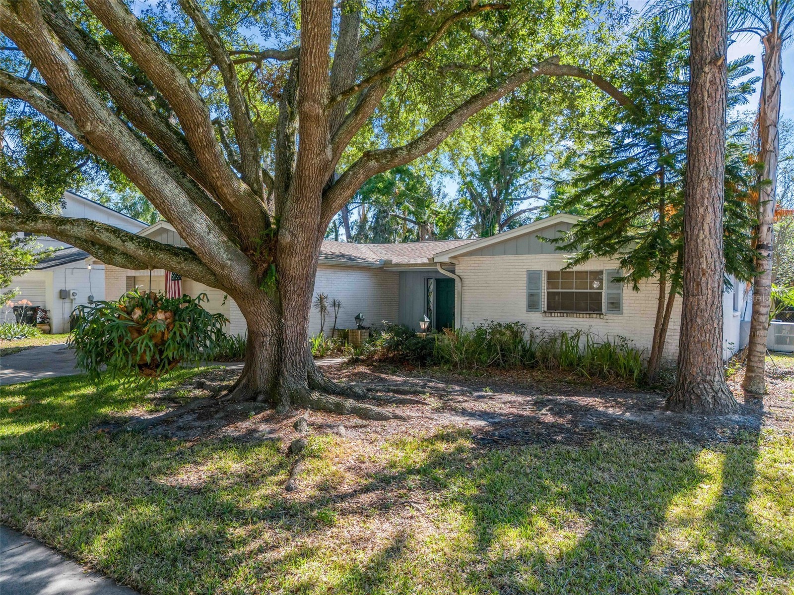 12712 Sebring Boulevard Tampa FL 33618 TB8511331 image2