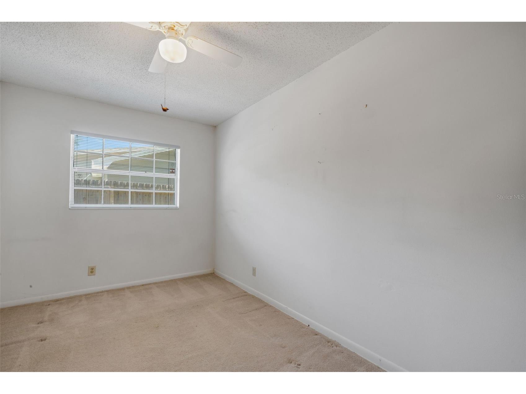 12712 Sebring Boulevard Tampa FL 33618 TB8511331 image30