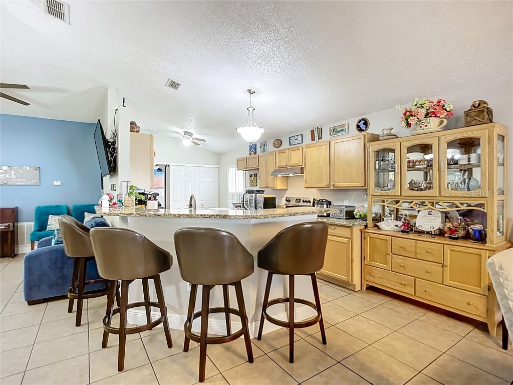 12713 Kings Lake Drive Gibsonton FL 33534 TB8446254 image10