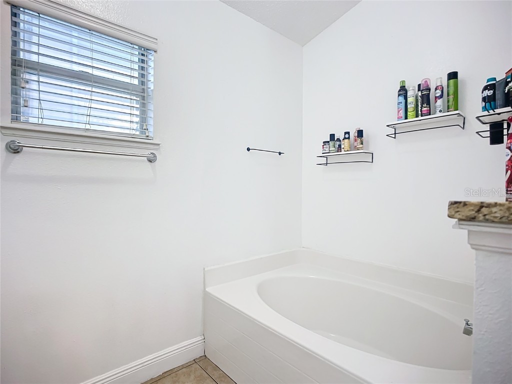 12713 Kings Lake Drive Gibsonton FL 33534 TB8446254 image29