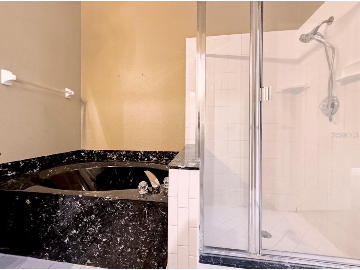 12714 Maribou Circle Orlando FL 32828 O6373870 image27