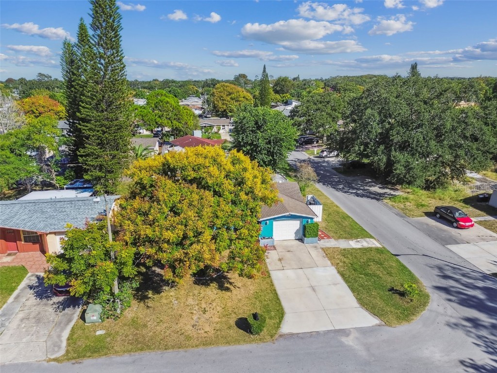 12714 Mulberry Lane Hudson FL 34667 TB8437481 image55