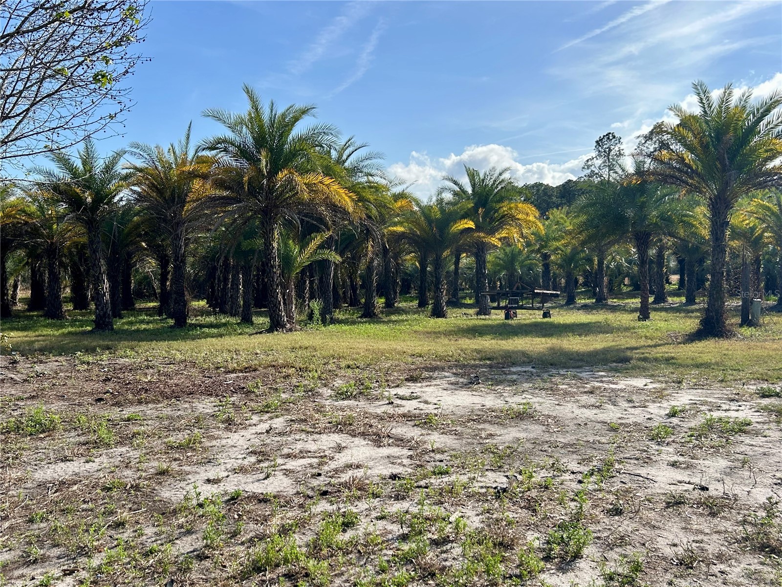 12714 State Road 33 Groveland FL 34736 OM716324 image11