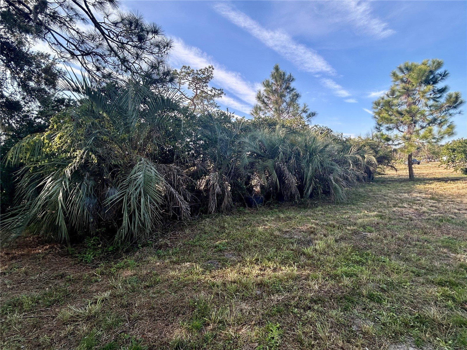 12714 State Road 33 Groveland FL 34736 OM716324 image13