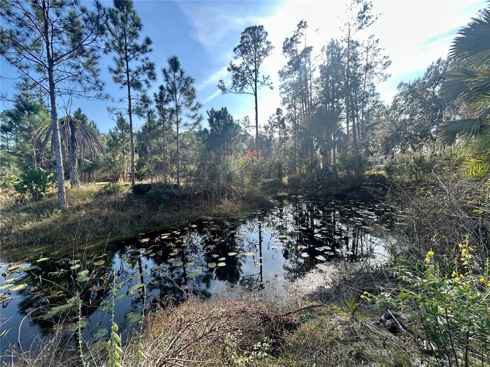 12714 State Road 33 Groveland FL 34736 OM716324 image7