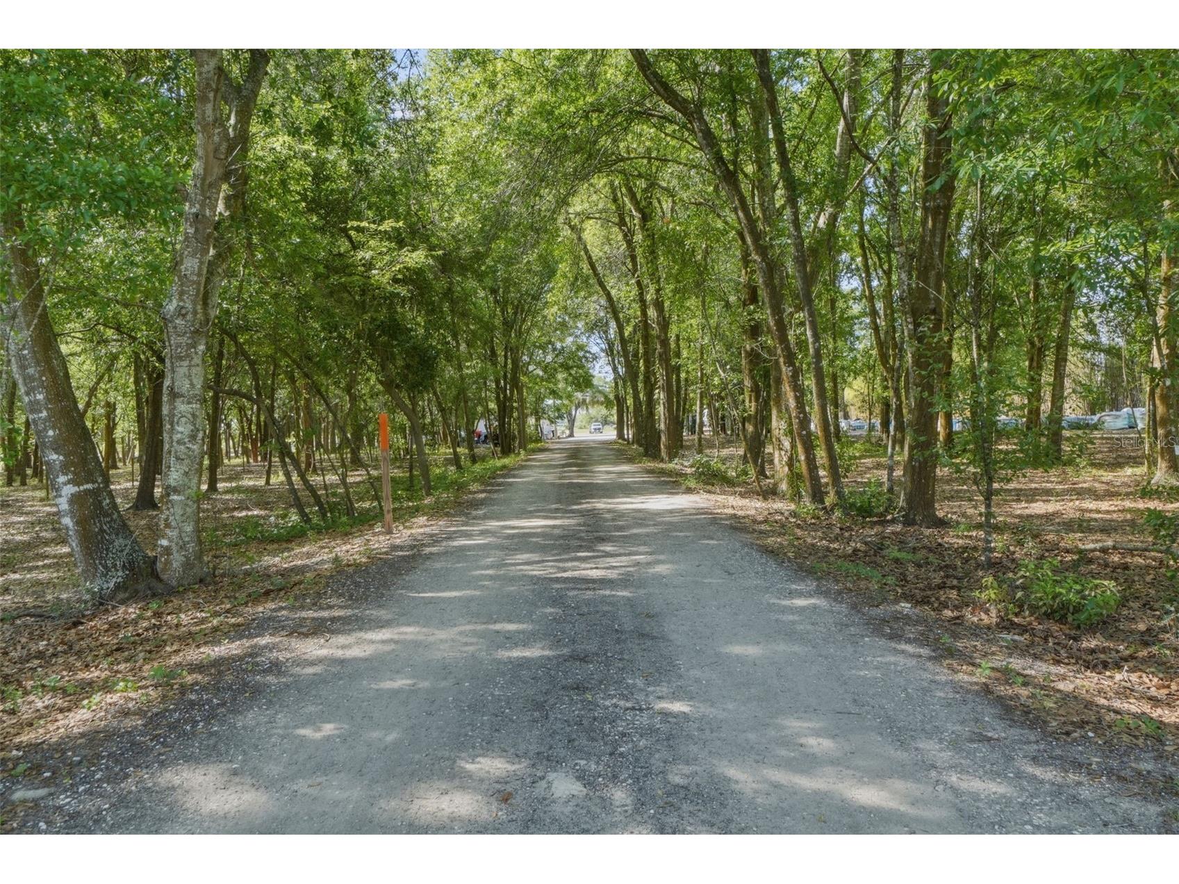 12714 Stoneybrook West Parkway Winter Garden FL 34787 O6397565 image10