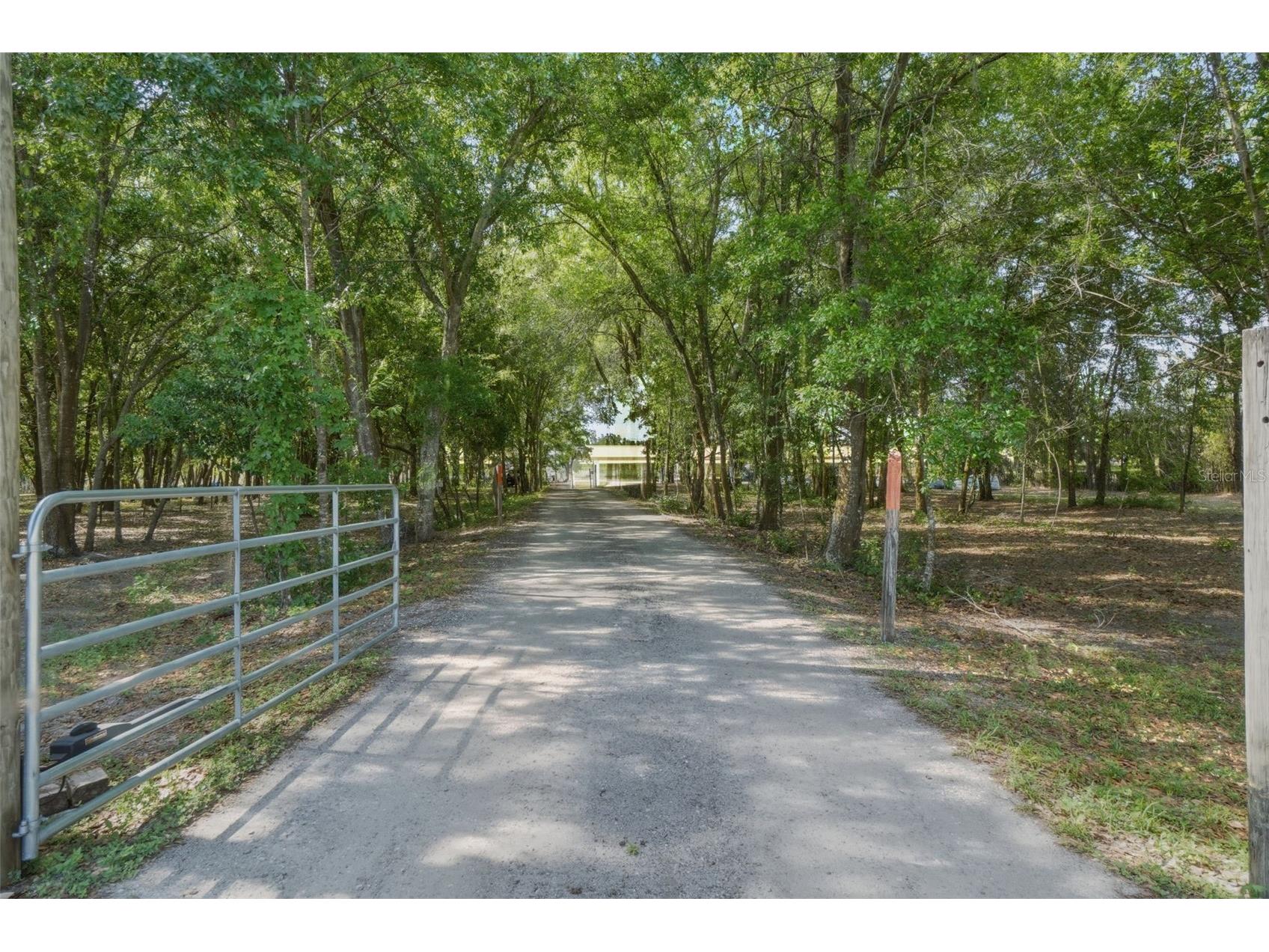 12714 Stoneybrook West Parkway Winter Garden FL 34787 O6397565 image11