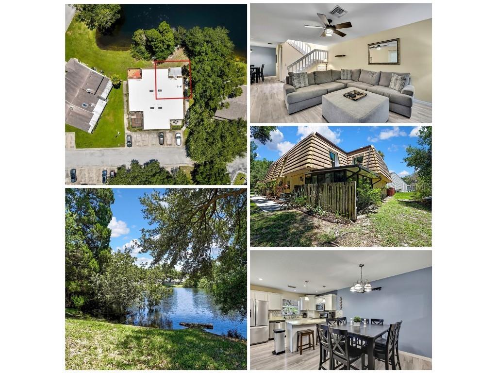 12714 Tall Pine Drive Tampa FL 33625 TB8412500 image1